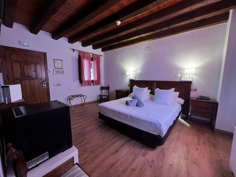 Pavia 7